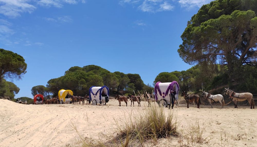 La caravana por los senderos de Doñana en una zona de abundantes arenas. 